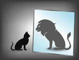 Self-esteem omtina.ir