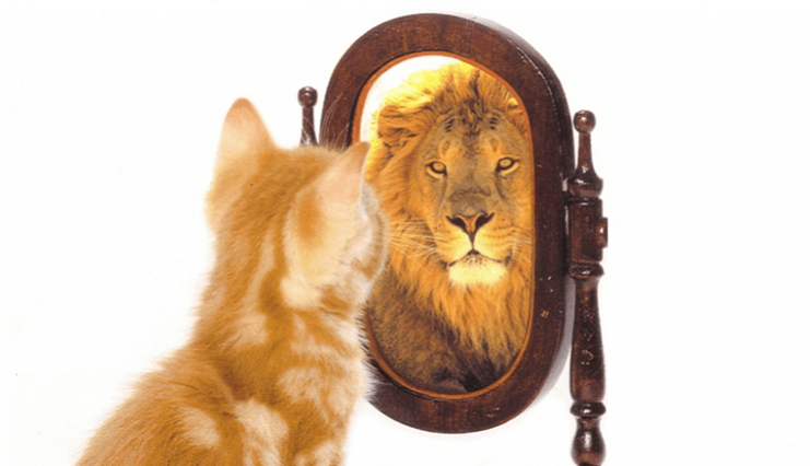 Self-esteem omtina.ir